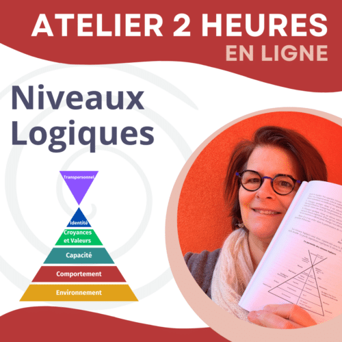 Atelier Niveaux Logiques