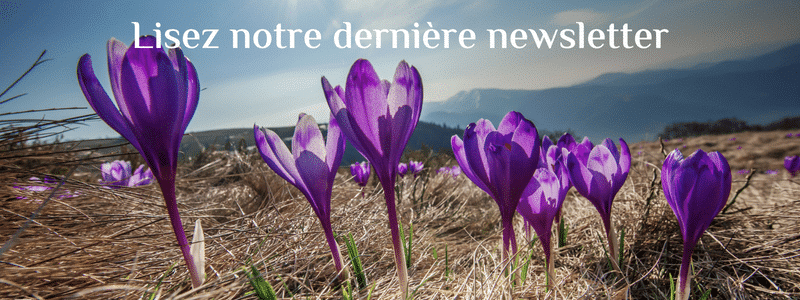 newsletter Février 2023