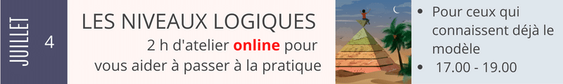 Niveaux Logiques juillet