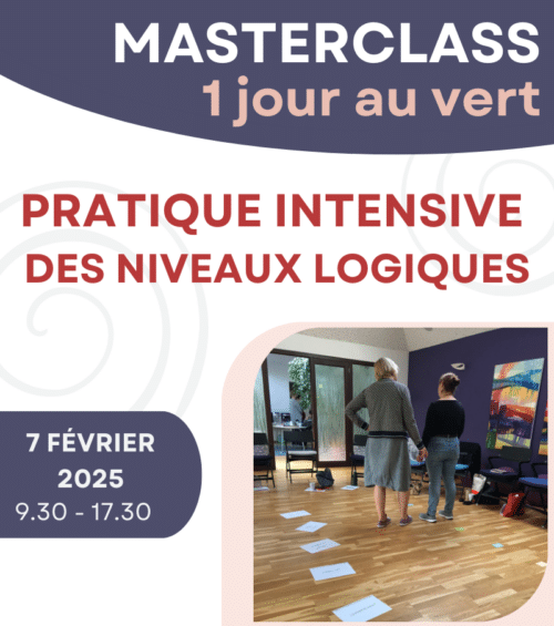 Masterclass niveaux logiques