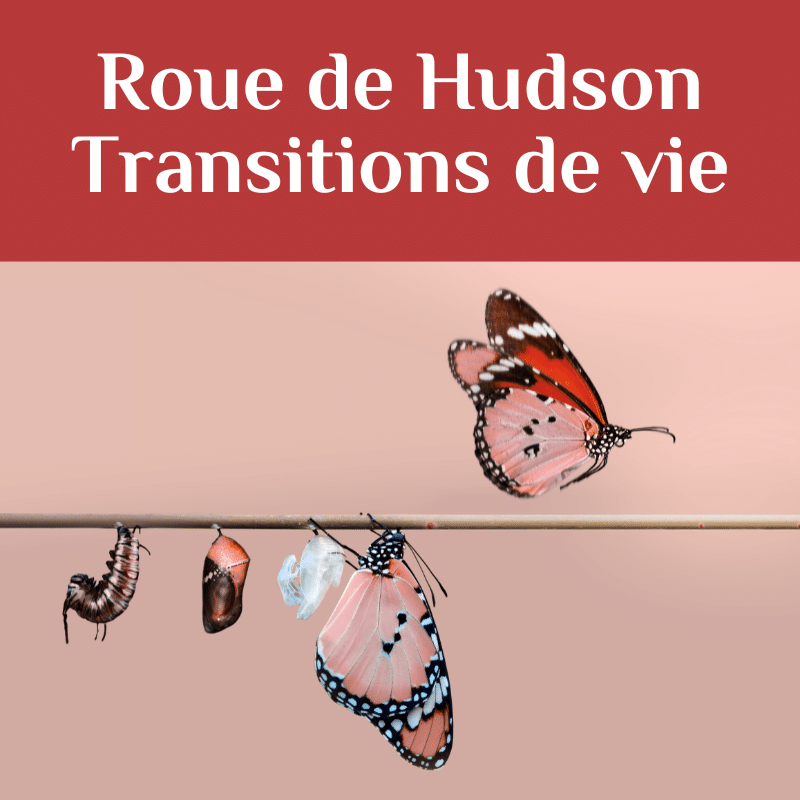 Transitions de vie