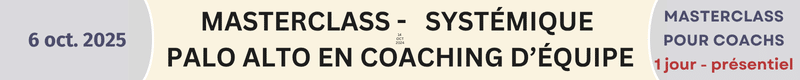 Masterclass systémique Coaching d'équipe