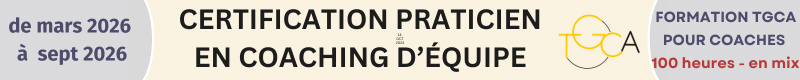 Praticien Coaching d'équipe