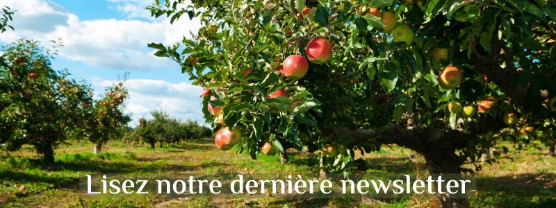 Newsletter Oct 2025