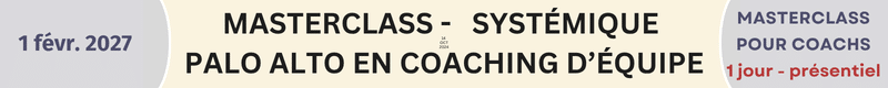 Masterclass systémique Coaching d'équipe