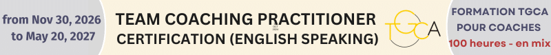 PRaticien Coaching d'équipe (2) PRaticien Coaching d'équipe - english