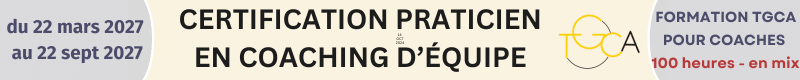 PRaticien Coaching d'équipe