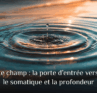 Le champ : la porte d’entrée vers le somatique et la profondeur
