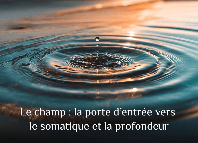 Le champ : la porte d’entrée vers le somatique et la profondeur